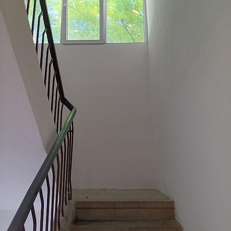Apartman Sonja Hostel Dubrovnik Luaran gambar